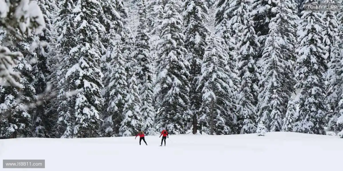 🎧戴上它,沉浸式感受赛场的每一次呼吸!